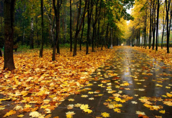 Демалыс күндері ауа райы салқындайды