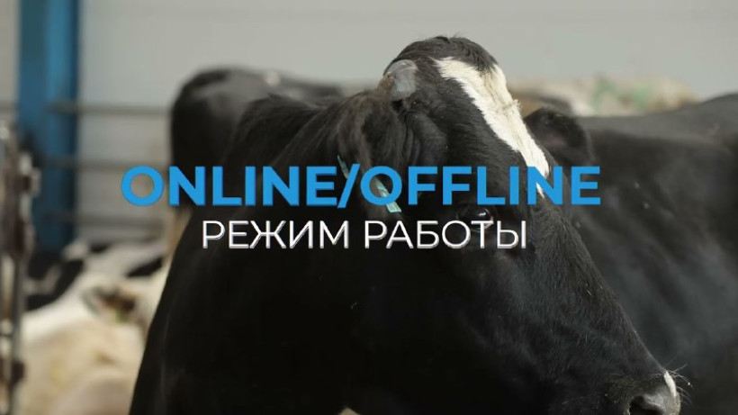  t.me/bagdat_mussin_official 