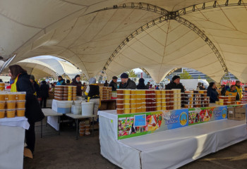 Астанада Павлодар облысының ауыл шаруашылығы жәрмеңкесі  өтуде