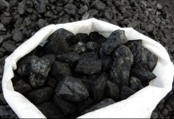 Министр көмір бағасы өзгермегенін айтты