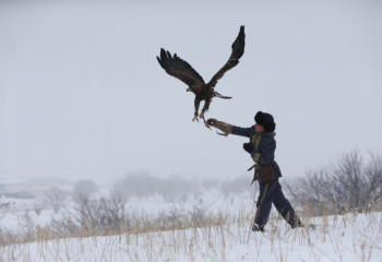 Құсбегіліктен Әлем чемпионаты өтеді