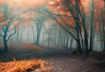 16 қазанға арналған ауа райы болжамы