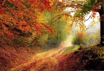 В трех областях Казахстана объявлено штормовое предупреждение