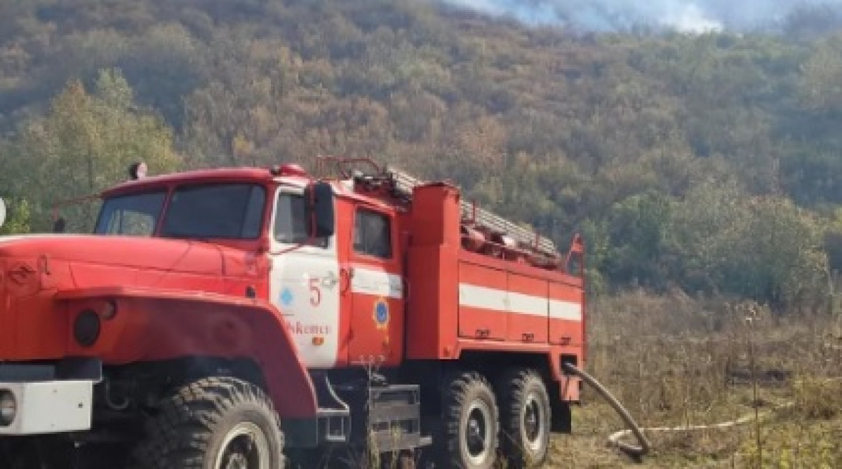 Ограничить посещение лесной зоны просят пожарные ВКО
