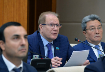 Депутат Рау: Дефицит битума – позор для нефтяной страны 