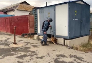 Көкшетауда тұрғын үйге «бомба» қойған ер адам ұсталды