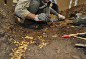 Алматыда сақ жауынгері жерленген қорым табылды