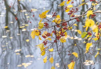 Сегіз өңірде ауа райына байланысты ескерту жарияланды