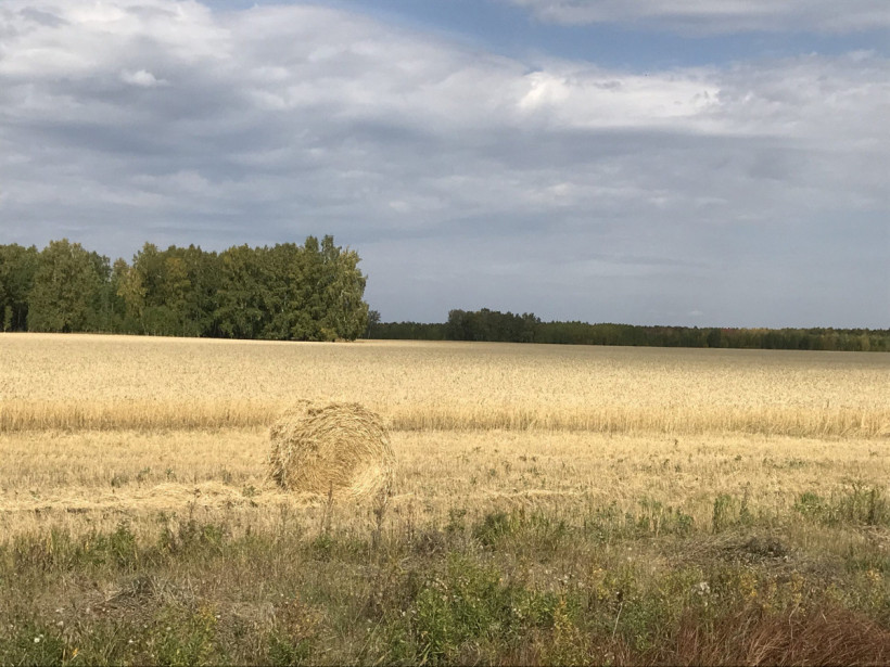  Петропавловск.news 