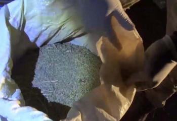 Шу тұрғынынан 125 келi есiрткi және атыс қаруы тәркілендi