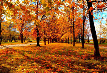 19 қазанға арналған ауа райы болжамы