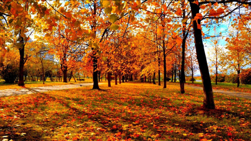  ашық дереккөзден 