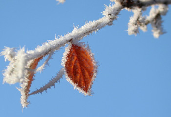 Қазгидромет алдағы күндерге арналған ауа райы болжамын жариялады