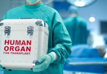 Ағза доноры болу үшін өтінішті қалай рәсімдейді?