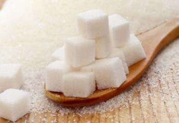 Жетісу өңірі еліміздегі қант өндіретін орталықтың біріне айналады - Президент