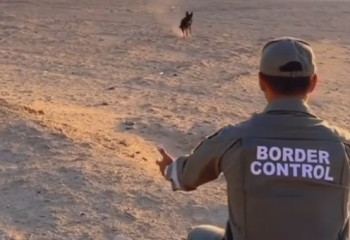 Видео пограничника с собакой в Мангистау восхитило пользователей Сети