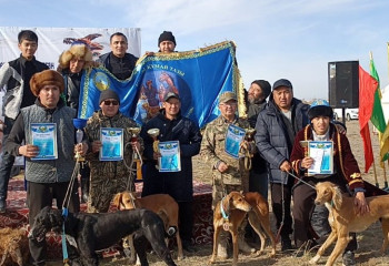 Павлодарские и омские тазы сразились в беге за кроликами