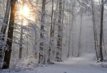 «Қазгидромет» алдағы үш күнге арналған ауа райы болжамын ұсынды