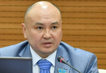 Декларация қабылданған кезде заман құбылмалы болды – Мәжіліс депутаты