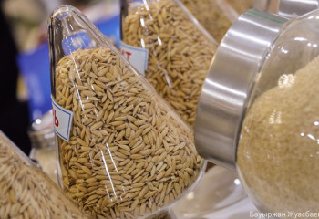 Азық-түлік қауіпсіздігін қамтамасыз ету маңызды міндет