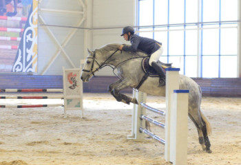 Конные соревнования ко Дню Республики проходят в Астане