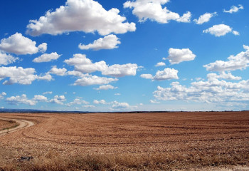 Ауыл шараушылығына арналған 5 млн гектар жер мемлекет меншігіне қайтарылды