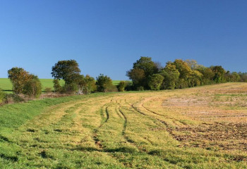 5 миллионов гектаров простаивающих сельхозземель вернули в госсобственность