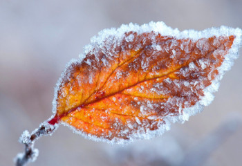 Ауа райына байланысты 15 өңірде  ескерту жарияланды