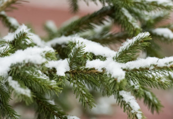 Бүгін еліміздің басым бөлігінде бұрқасын болады