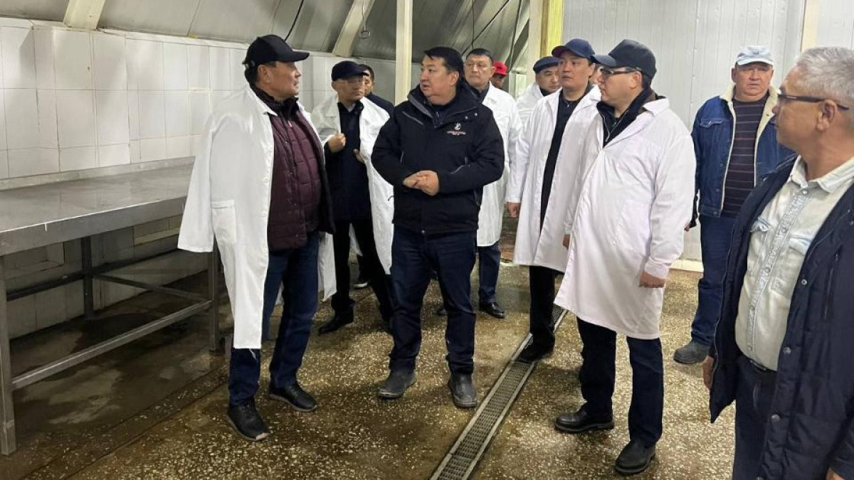 Новые горизонты сотрудничества обсудили министры сельского хозяйства Казахстана и Кыргызстана