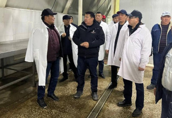 Новые горизонты сотрудничества обсудили министры сельского хозяйства Казахстана и Кыргызстана