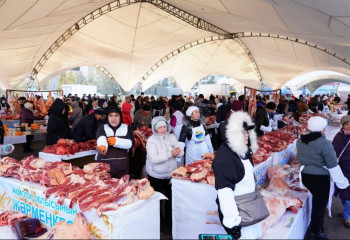 Сельскохозяйственная ярмарка Акмолинской области проходит в Астане