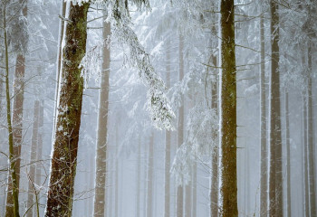 В 11 областях Казахстана объявлено штормовое предупреждение