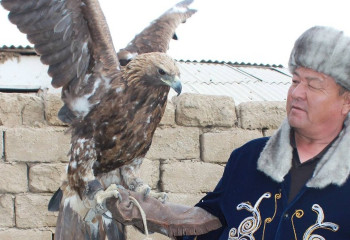 Құстың алғанынан салғаны қызық – саятшы