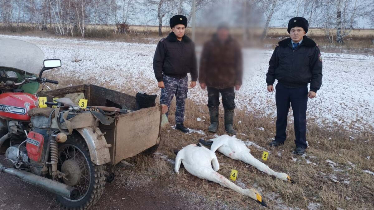  polisia.kz 