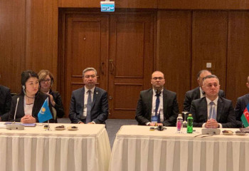 Ажар Гиният приняла участие в тюркском медицинском конгрессе в Стамбуле