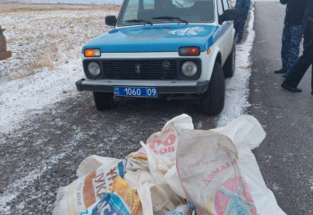 Более 400 кг рыбы изъяли карагандинские полицейские у браконьеров