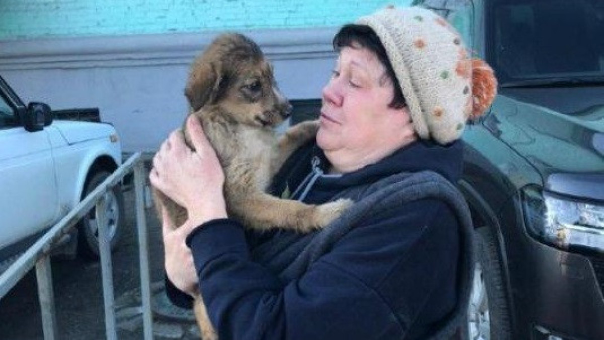 В Усть-Каменогорске сотрудники ДЧС спасли щенка