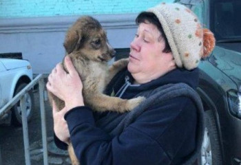 В Усть-Каменогорске сотрудники ДЧС спасли щенка