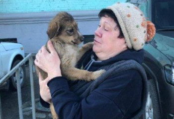 Құтқарушылар контейнерлер арасында қыстырылып қалған күшікті шығарды