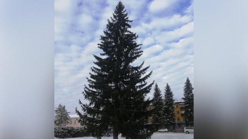  Любовь Кожевникова 