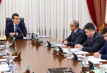 Әлихан Смайылов бірқатар шенеунікті жазалауды тапсырды