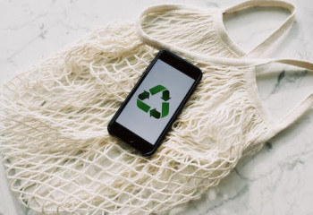 Эко-фестиваль «Зеленая школа» пройдет в Алматы