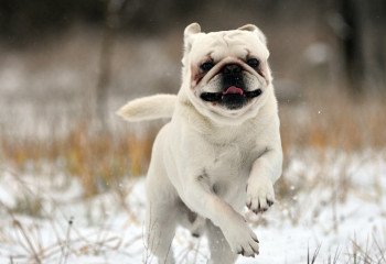 Осадки и гололед: Прогноз погоды в Казахстане на 5 ноября