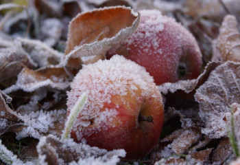 Алматинцев предупредили в связи с резким похолоданием