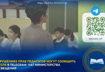 О нарушениях прав педагогов могут сообщить учителя в Telegram- чат Минпросвещения