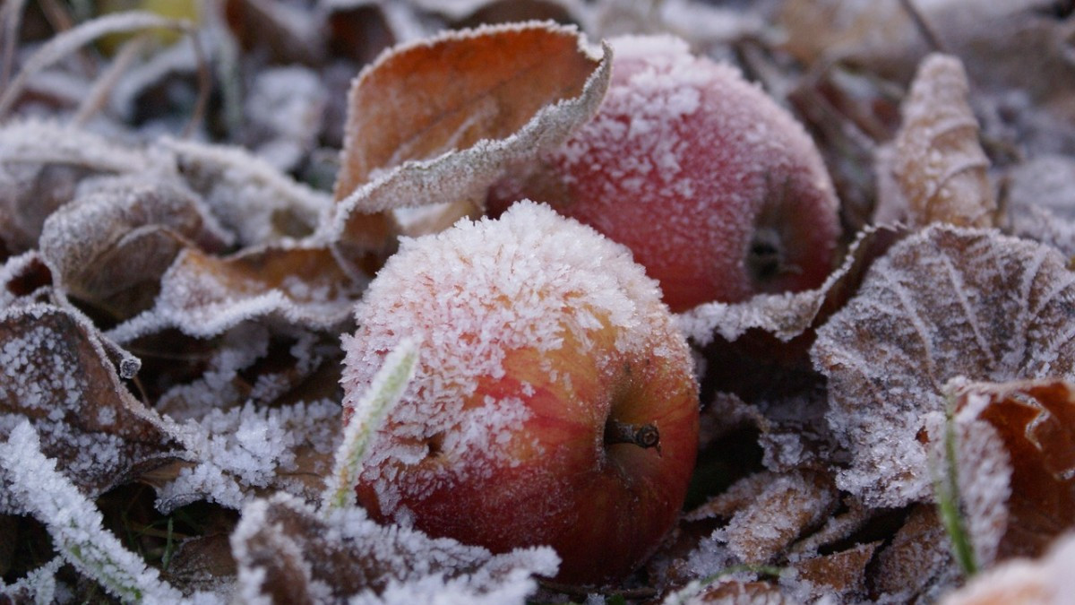  vsegda-pomnim.com 