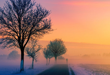 В Карагандинской области закрыли трассу из-за непогоды