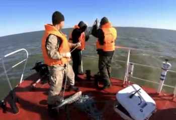 Около тысячи осетров и 54 тюленя спасли пограничники на Каспии