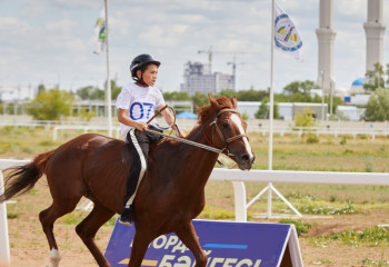 Ғалымдар қазақ жылқысының жаңа тұқымын шығармақ